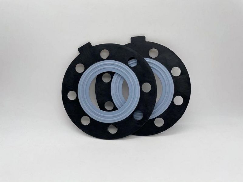Corrosion Resistant PTFE Rubber Gasket
