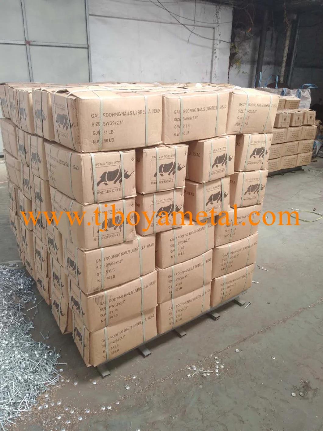 Color Umbrella Head Roofing Nail Umberlla Head Umbrella Type Roofing Nails Color Umbrella Head Roofing Nail with Washer From Factory
