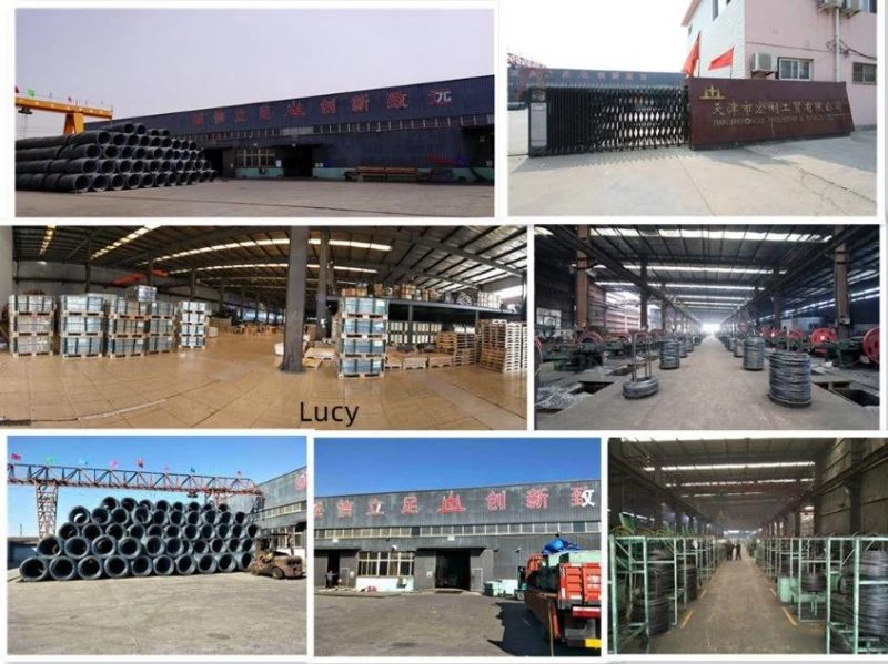 17X27 Bright Common Wire Nails Checked Head Tianjin Hongli Manufacture