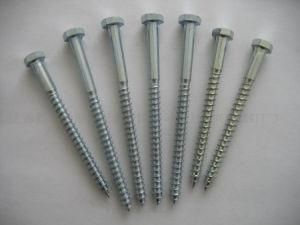 Stainless Steel Wood Screws