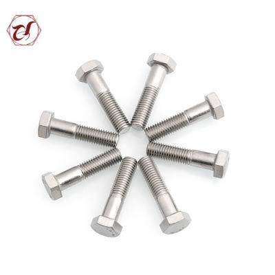 Stainless Steel 304 316 Hex Head Bolt/A2 Hex Bolt/A4 Hex Bolt
