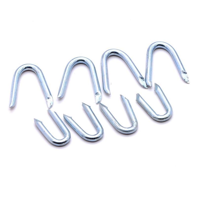 Vietnam Philippines Singapore Market/Electro Galvanized U Type Nails for Fence Staples
