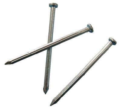 Qualified Zinc Coated Electric Galvanized Concrete Steel Nails