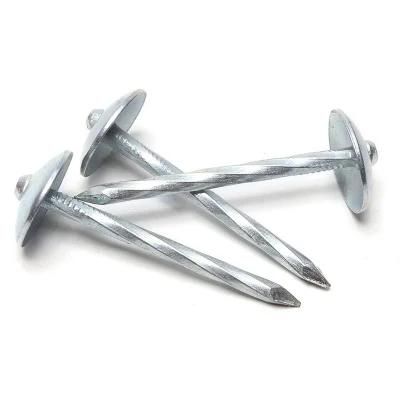 Q195 Steel Galvanized Roofing Nails for Roofing