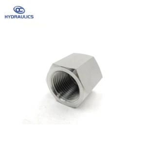 Wholesale Stainless Hydraulic Adapters NPT Female Pipe Cap Fittings