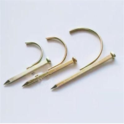 Quality 4 Points Plus Hard Galvanized Hook Nails