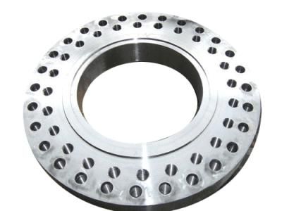 Flange Plate (HS-0015)