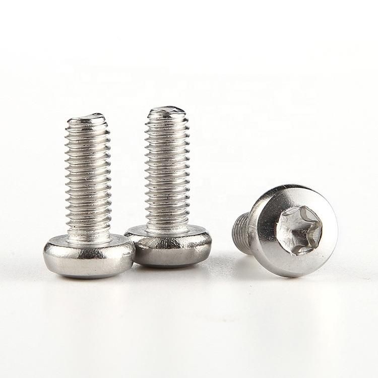 M4 M5 Stainless Steel SS304 Pan Head Torx Screw GB2672 Titanium Screw M3