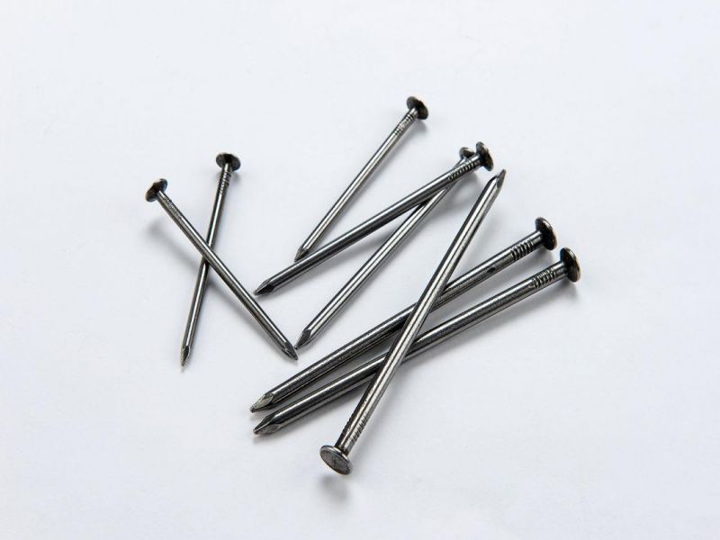 Bright Common Wire Nails with Lowest Price