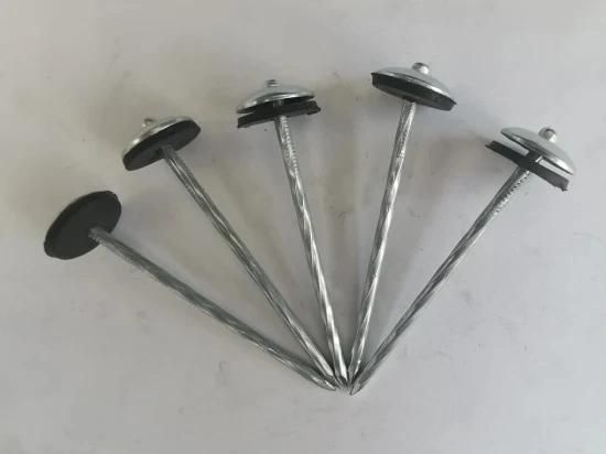China Galvanized Umbrella Head Roofing Nails