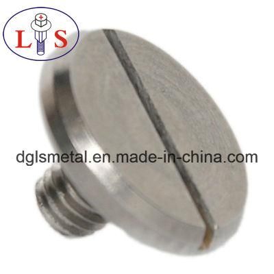 High Quality Ss 304 Flat Head Slotted Bolts