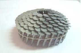 15degrees Hot Dipped Galvanized Coil Roofing Nail