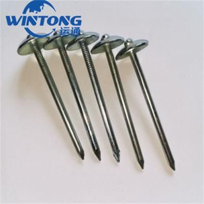 Hemp Pole Nail/Roofing Nail/Umbrella Nail Big Head Umbrella Hat Nail