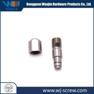 Stainless Steel Special Shape Male and Female Screw