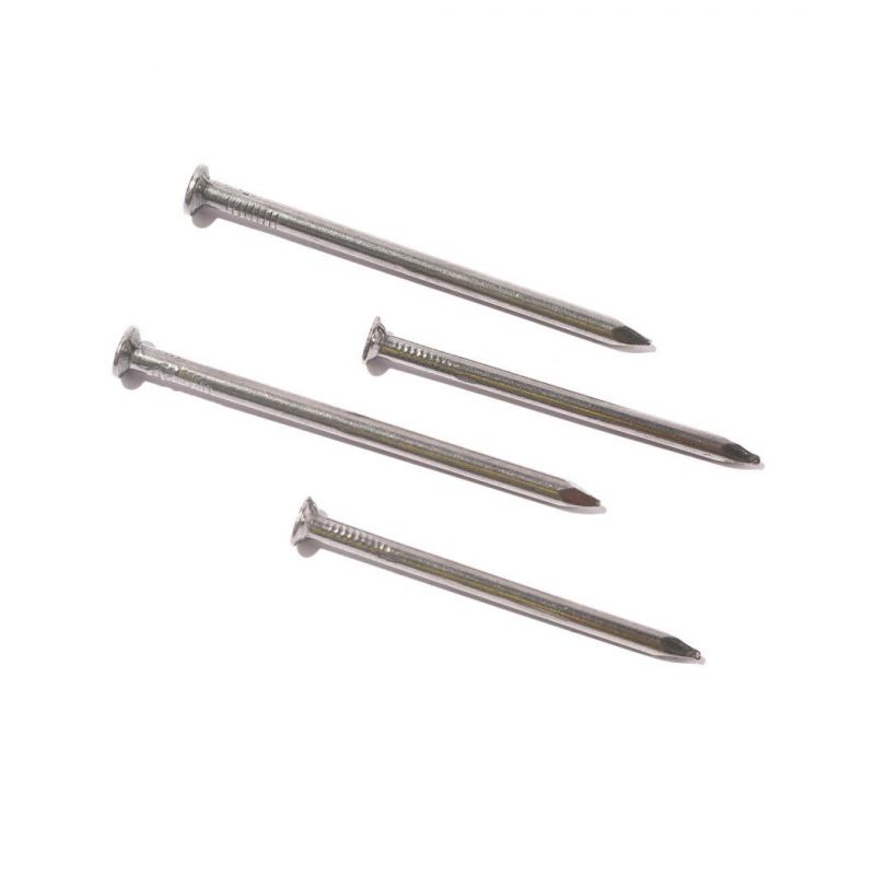 Angola Ethiopia Market/Construction Electro Galvanized Common Wood Wire Nails Nail