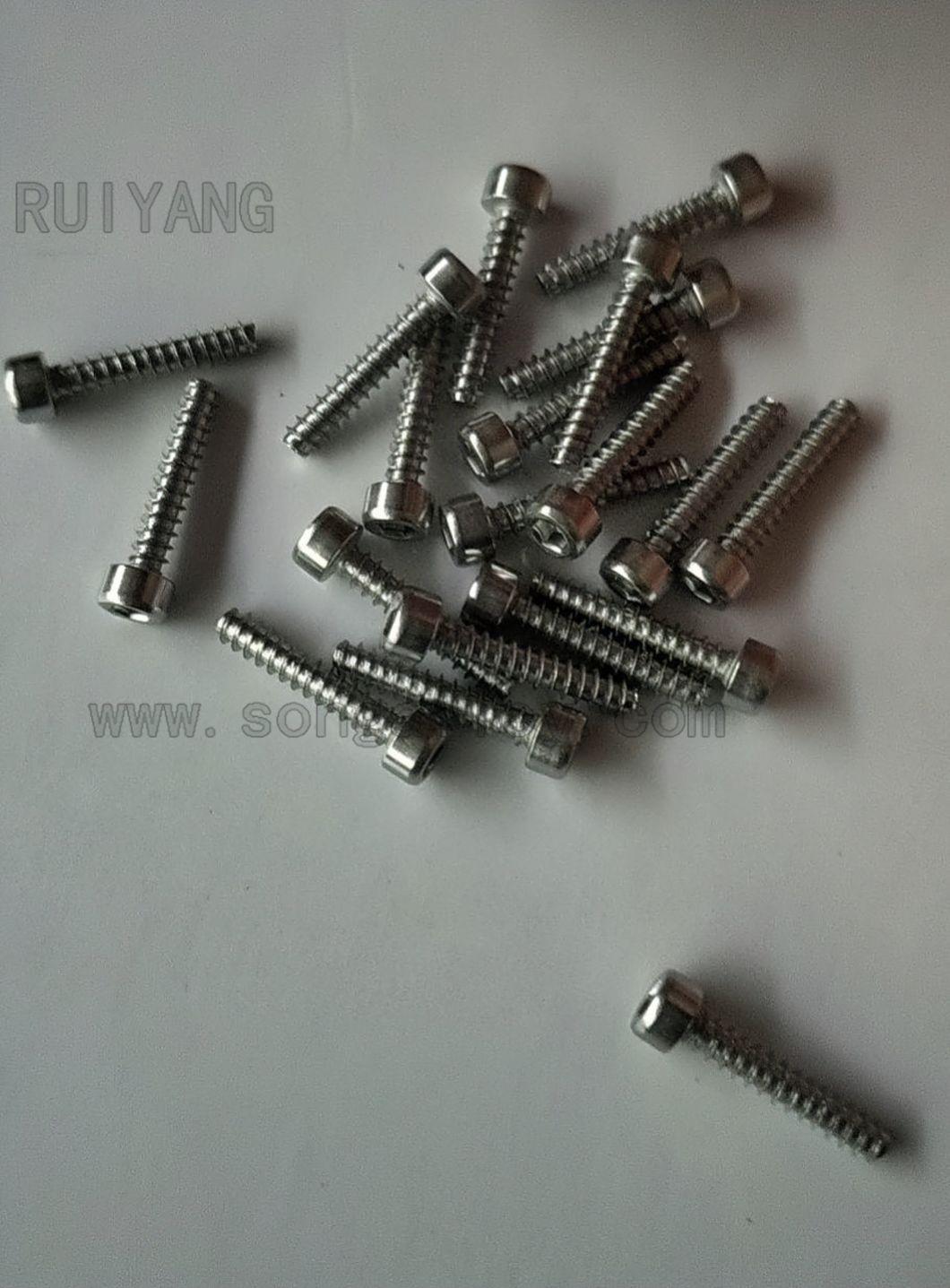 Stainless Steel Hexagon Socket Self Tapping Screw
