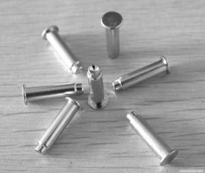 China Supplier OEM Non-Standard Rivets