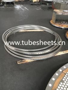 Large Size Customized Stainless Steel Flange