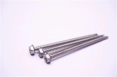 Hex Washer Head Self-Drilling Screw Ss 410