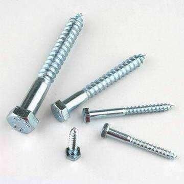 ANSI/ASME B18.2.1 Lag Screw Black Zinc Plated