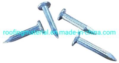 Steel Nails Roofing Accessories Roofing Nails