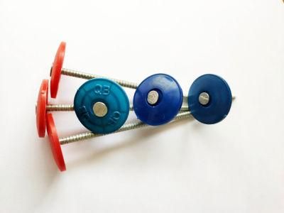 Furniture Use Roofing /Concrete /Clout /Wire Nails