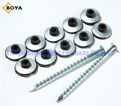 Galvanized Assembled Roofing Screw Nails with Washer