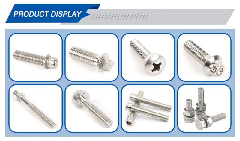 Manufacture Stainless Steel Screws Non-Standard Screws Special Screws for Automotive Fastener Brake Fitting