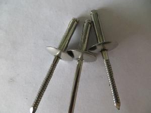China Stainless Steel Open End Large Flange Blind Rivets Pop Rivets
