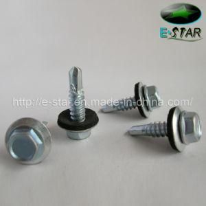 Fasteners-Self Drilling Screw