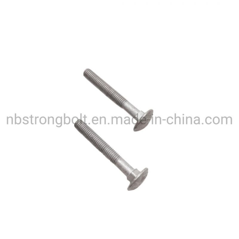 High Tensile Metric Round Head Square Neck Bolt