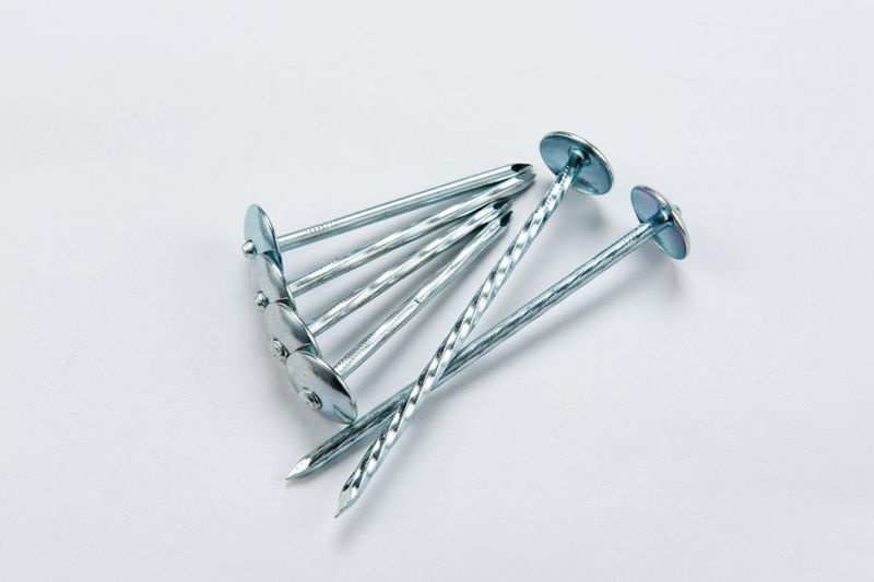 China Factory Supply 9gx2" Electro Galvanized Umbrella Roofing Nail with Good Performance