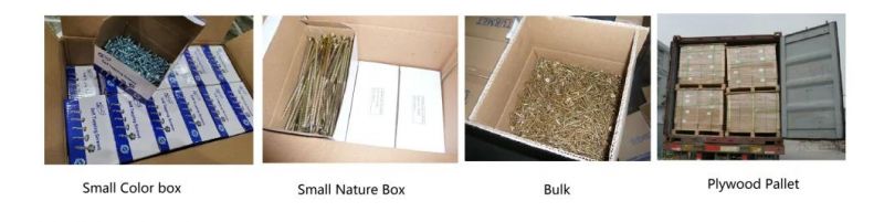 DIN; ANSI; JIS; BS; GB Screws Nylon Hammer Framing Fixing