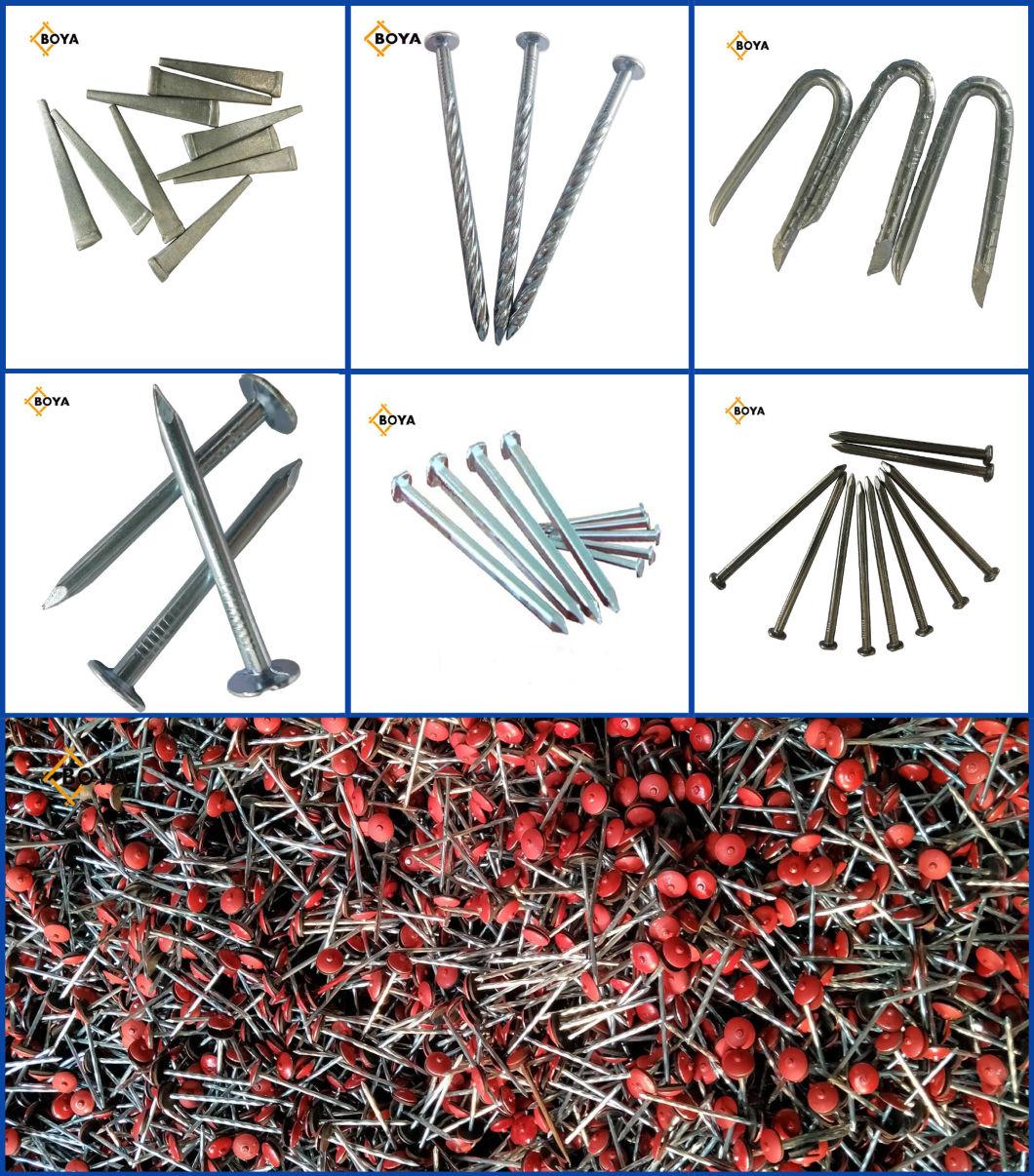 Hot Sale Umbrella Head Twisted Shank Roofing Nail Roofing Nail with Washers