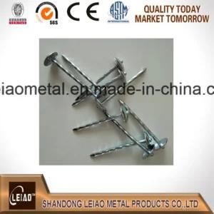 Galvanized Roofing Nails 1kg/Bag 25kg/Carton