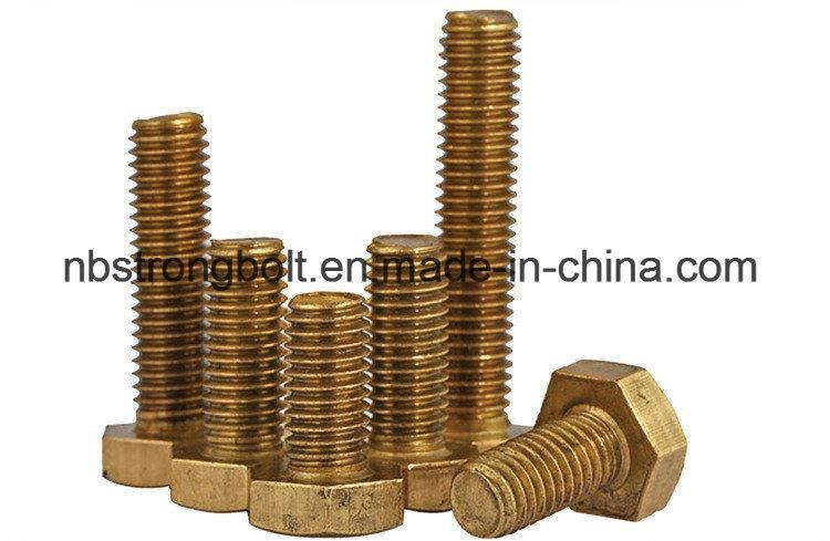 Brass Screw Hex Bolt