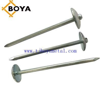 Direct Factory Supply Galvanized Corrugated Sheet Nails Hot Sale Twisted Shank Umbrella Head Roofing Nail