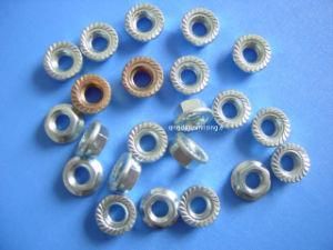 DIN6923 Flanged Nuts