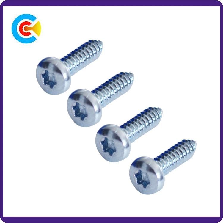 Stainless Steel 304/316 DIN7981 DIN7982 Phillips Self-Tapping Machine Screws