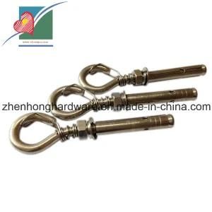 Eye Bolt Stainless Steel Expansion Bolt Anchor Bolts