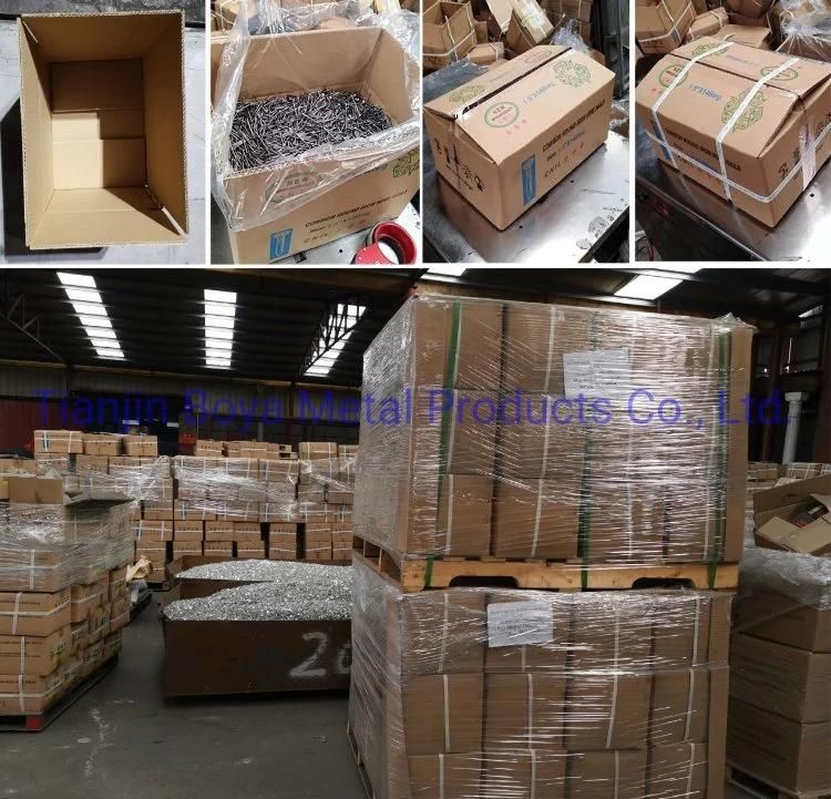 Best Quality Good Variety of Specification Headless Wire Nails