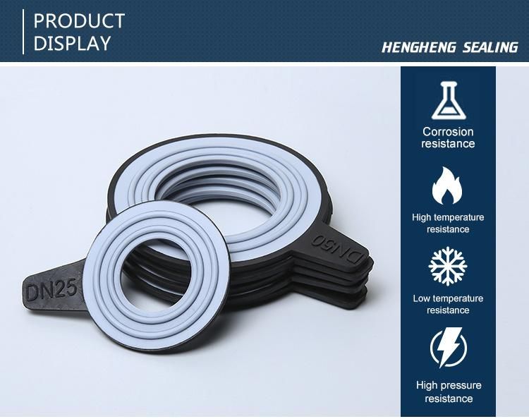 Hot Sale DIN/ANSI/JIS PTFE Sealing Gasket Sheet RF Gasket Type at PTFE for Almost All Chemical