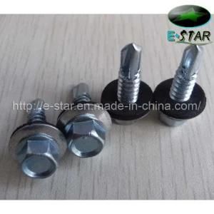 Self Drilling Screws -DIN7504