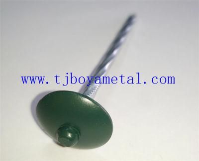 Good Price Colored Umbrella Head Screw Shank Roofing Nails with Washers