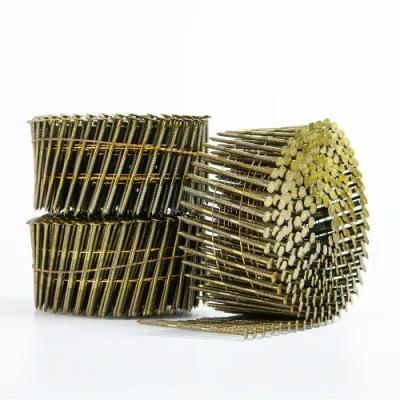 Hight Quality Factory Price Coil Nails