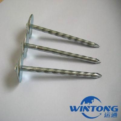 Roofing Nail Manufacturer Sales, Electric Galvanized Roofing Nails, Roofing Nail Production
