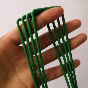 High Quality Polished Common Steel Nails with Low Price