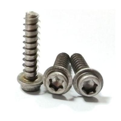 Special Cap Flange Head Torx 304 Stainless Self Tapping Screw
