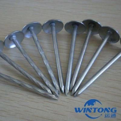 Construction Building Materials Umbrella Head Galvanized Roofing Nails