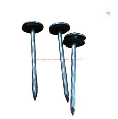 E. G 2 1/2&quot; X Bwg9 50lb /Box Roofing Nails with Umbrella Head Rubber Washer /Common Nails